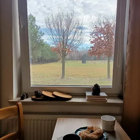 Tawerna-stawiska * Garbatka-Letnisko