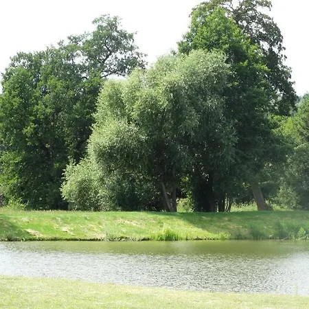 Tawerna-stawiska