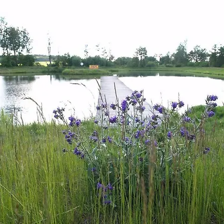Tawerna-stawiska * Garbatka-Letnisko