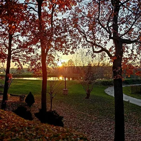 Tawerna-stawiska Resort