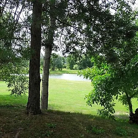 Tawerna-stawiska * Garbatka-Letnisko