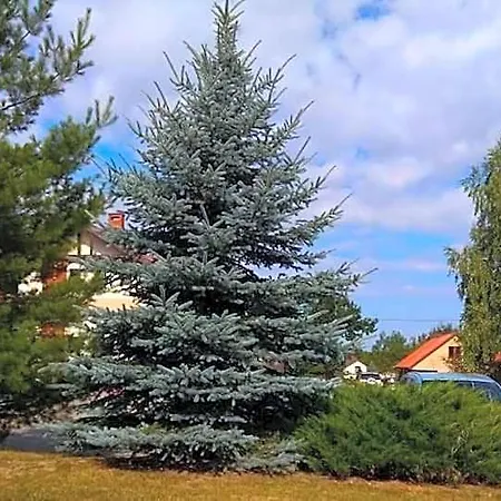 Tawerna-stawiska Garbatka-Letnisko