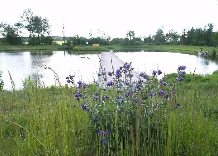 Tawerna-stawiska * Garbatka-Letnisko