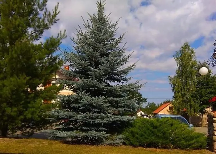 Tawerna-stawiska Θέρετρο