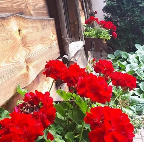 Tawerna-stawiska Θέρετρο