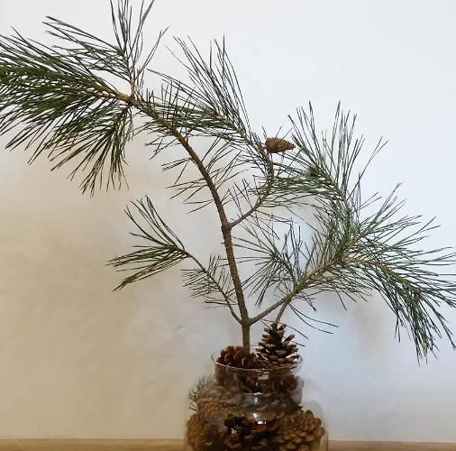 Tawerna-stawiska Garbatka-Letnisko